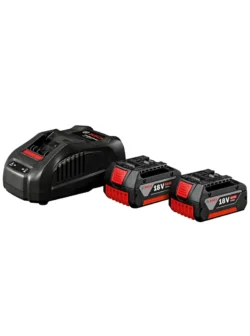Kit de Baterías recargables 18V + Cargador Bosch GAL1880CV