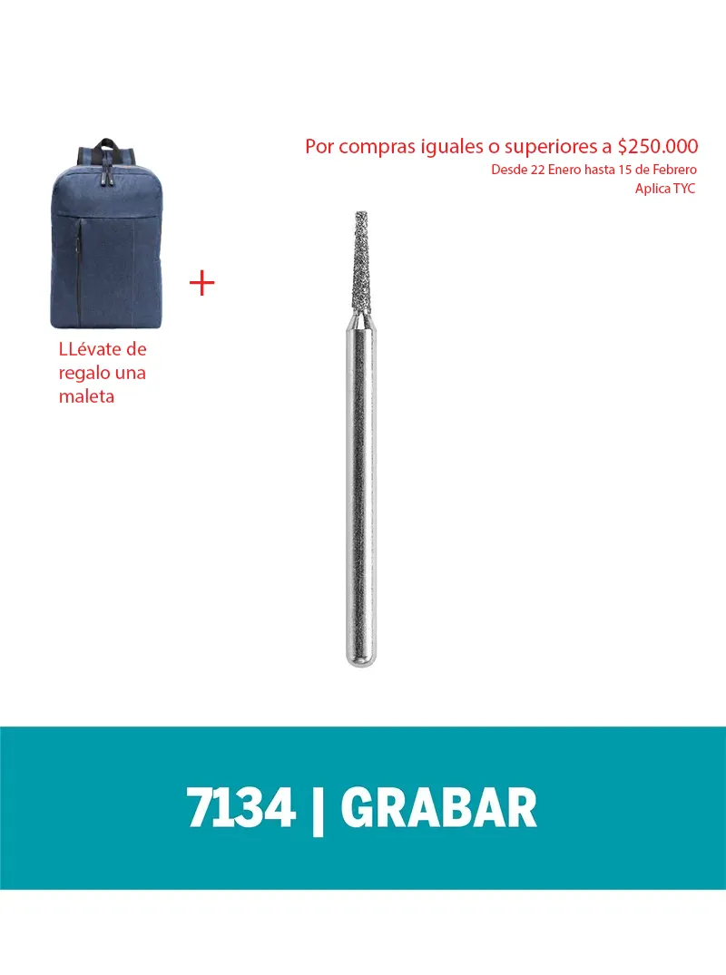 Fresa Diamantada Dremel para grabar de 2,0mm (7134) Fresa Diamantada Dremel para grabar de 2,0mm (7134)